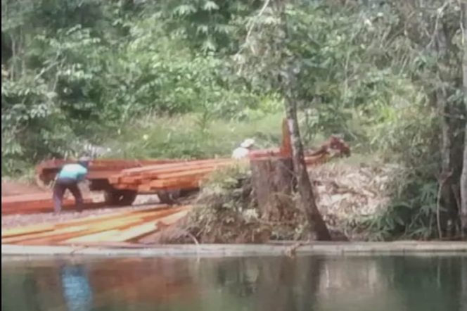 
					Cagar Alam Taronggo Sekarat, Balai Gakkum KLHK Palu Diduga Sengaja ‘Tutup Mata’