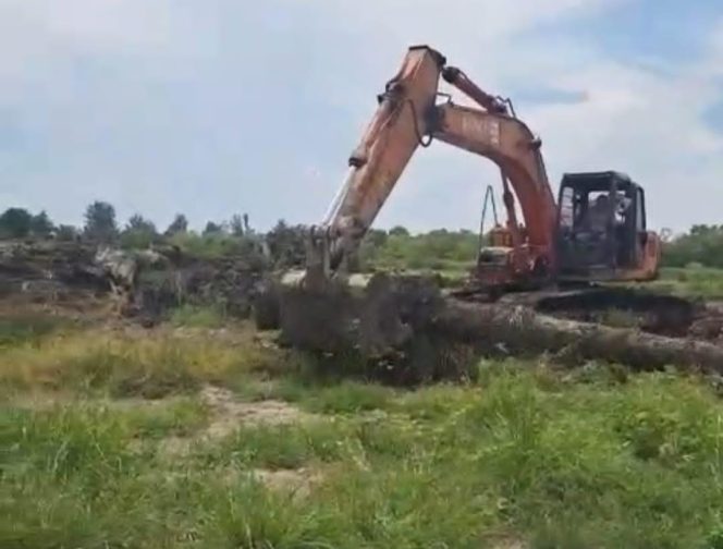 
					Polda Sumut Didesak Tegas: Hutan Negara Terancam Dikuasai Residivis