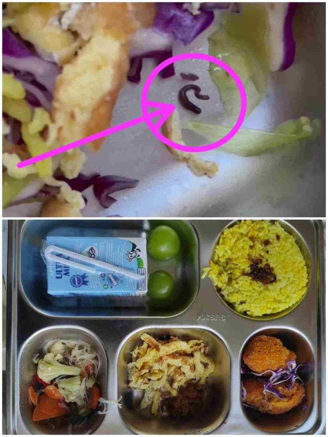 
					Tragedi Cacing di SMK TKM Pertambangan Jadi Peringatan Akhir MBG, Badan Gizi Nasional Harus Segera Intervensi!