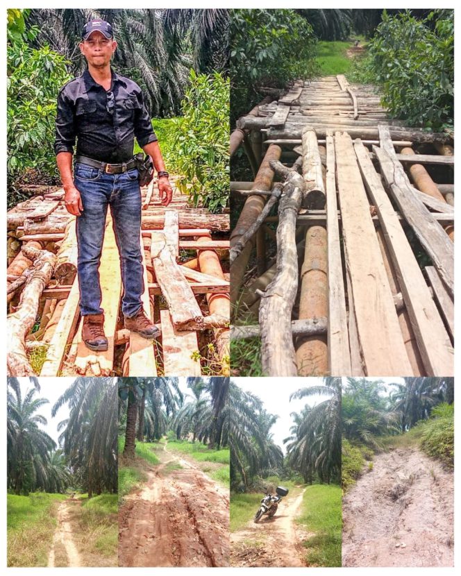 
					Kejahatan Terhadap Negara: Infrastruktur APBN Dibiarkan Mati, Hak Transmigran Dirampas Brutal