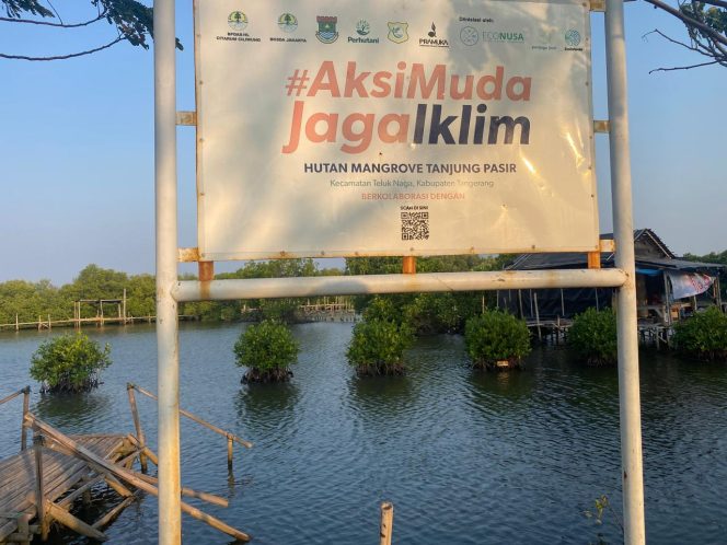 
					INVESTIGASI KHUSUS: Menelusuri Sengkarut Mangrove Tanjung Pasir Tangerang