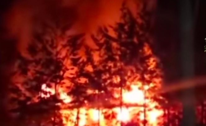 
					Puncak Papua Mencekam! Tak Puas Pembagian Dana Desa, 7 Kantor Pemerintah di Ilaga Dibakar Massa