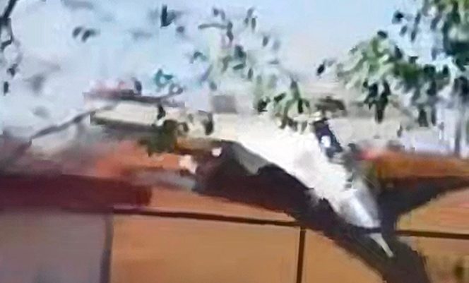 
					Insiden Tergelincir di Sultan Hasanuddin: Pesawat Tempur Sukhoi TNI AU Mengalami Overrun saat Mendarat