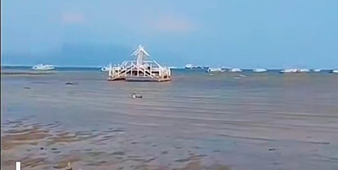 
					Fenomena Laut Surut dan Hiu Mendekati Pesisir Lampung Bikin Warga Khawatir, Aktivitas Anak Krakatau Jadi Sorotan